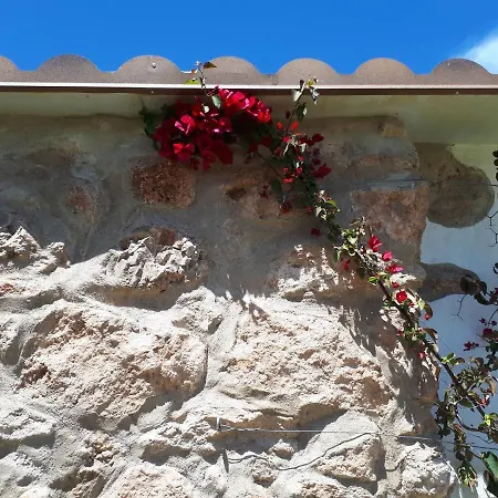 Apartment El Establo *